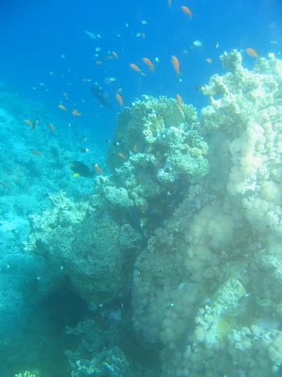 IMG_3620.JPG