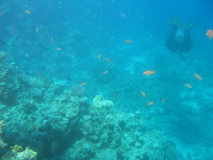 IMG_3622.JPG