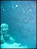 IMG_3579.JPG