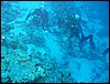 IMG_3591.JPG