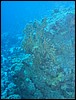 IMG_3593.JPG