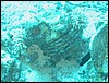 IMG_3606.JPG