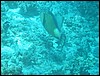 IMG_3609.JPG