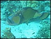 IMG_3610.JPG