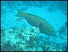 IMG_3612.JPG