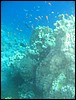 IMG_3620.JPG