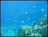 IMG_3621.JPG