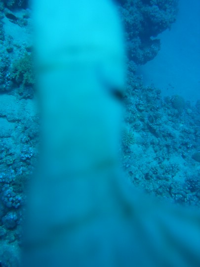 IMG_3630.JPG