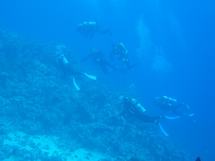 IMG_3631.JPG