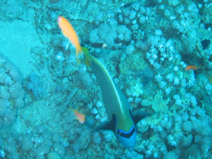 IMG_3638.JPG