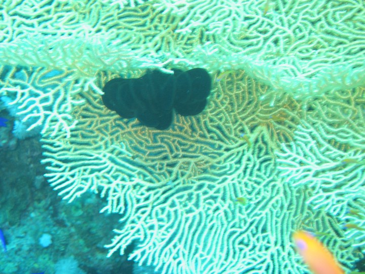 IMG_3639.JPG