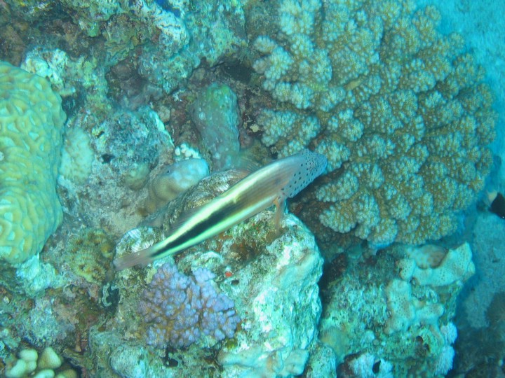 IMG_3643.JPG