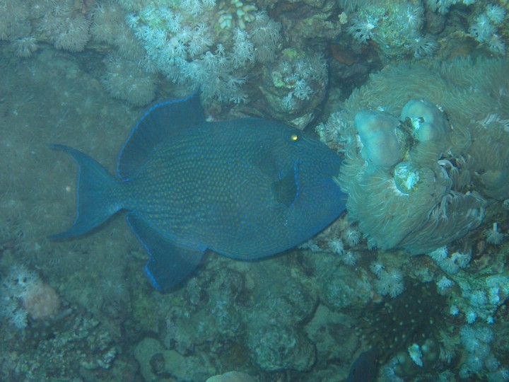 IMG_3649.JPG