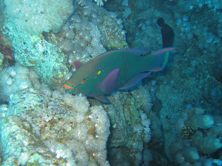 IMG_3652.JPG