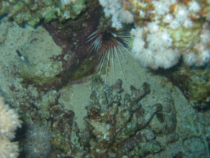 IMG_3658.JPG
