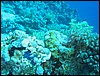 IMG_3635.JPG