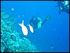 IMG_3636.JPG