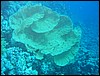 IMG_3637.JPG