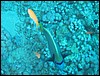 IMG_3638.JPG