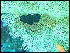 IMG_3639.JPG