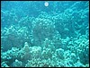 IMG_3667.JPG