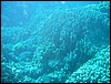 IMG_3673.JPG