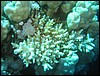 IMG_3675.JPG