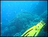 IMG_3676.JPG