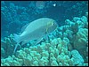 IMG_3678.JPG