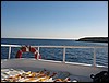 IMG_3691.JPG