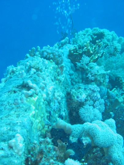 IMG_3742.JPG