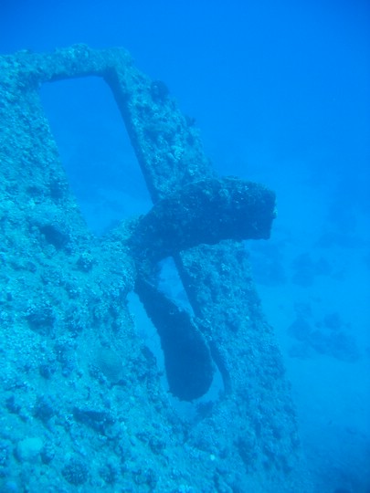 IMG_3769.JPG