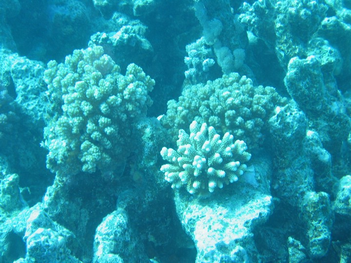 IMG_3774.JPG