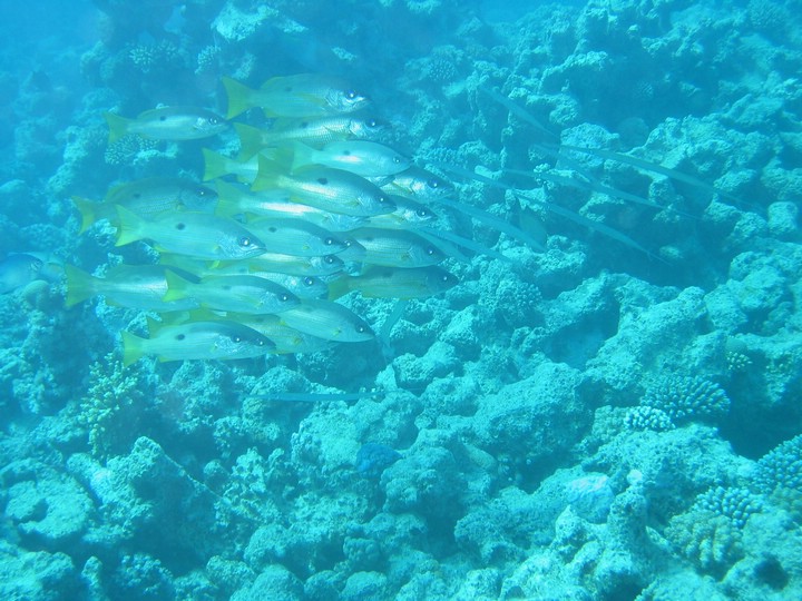IMG_3776.JPG