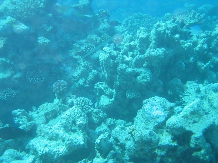 IMG_3779.JPG