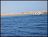 IMG_3728.JPG