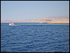 IMG_3731.JPG