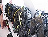 IMG_3734.JPG