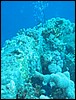 IMG_3742.JPG