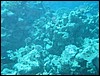 IMG_3779.JPG