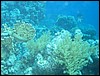 IMG_3780.JPG