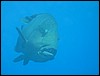 IMG_3783.JPG