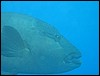IMG_3784.JPG