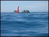IMG_3785.JPG