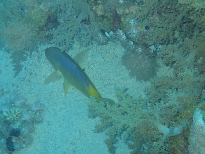 IMG_3816.JPG