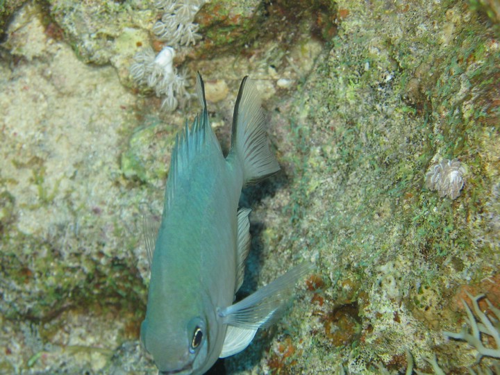 IMG_3825.JPG