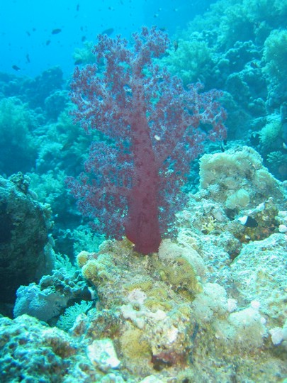IMG_3828.JPG