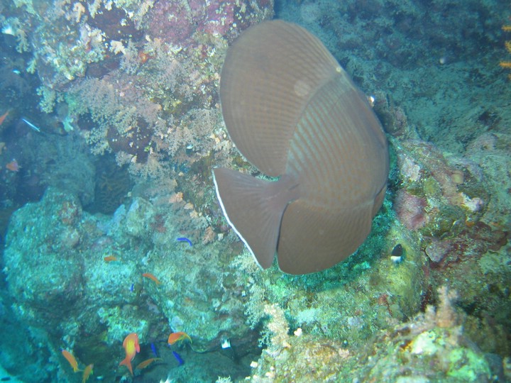 IMG_3832.JPG