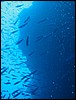 IMG_3796.JPG