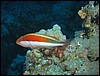 IMG_3810.JPG